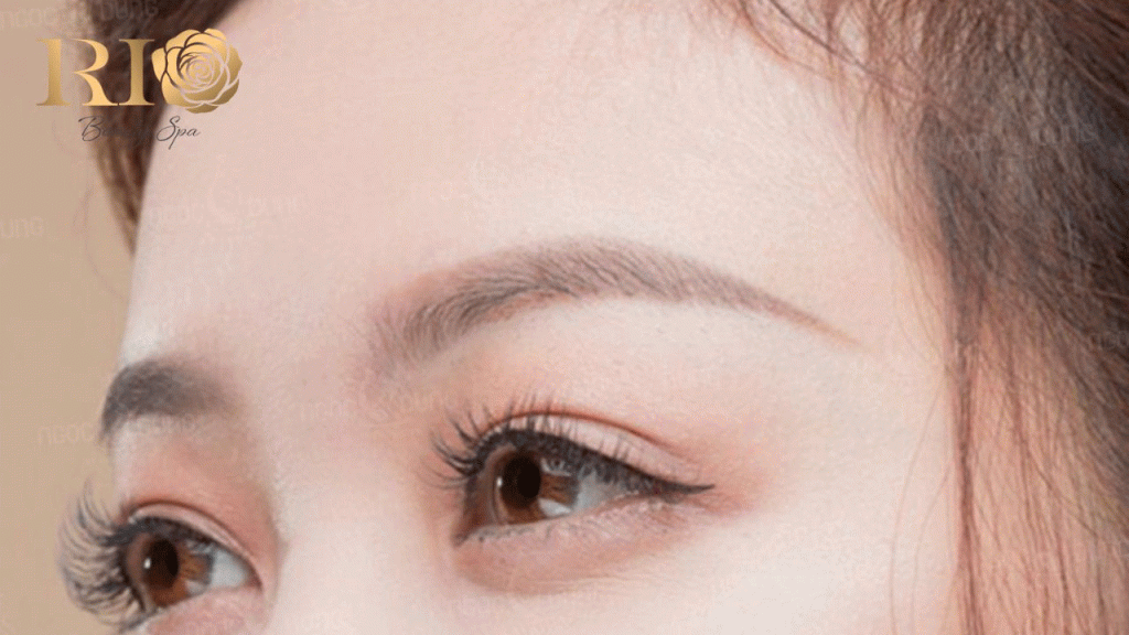 Thiet ke chua co ten