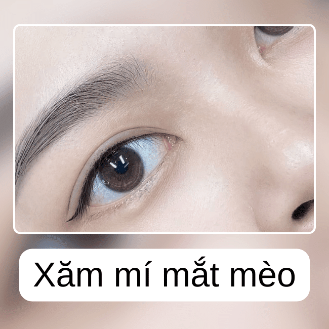 Xăm mí mắt mèo - Đôi mắt sắc sảo và quyến rũ