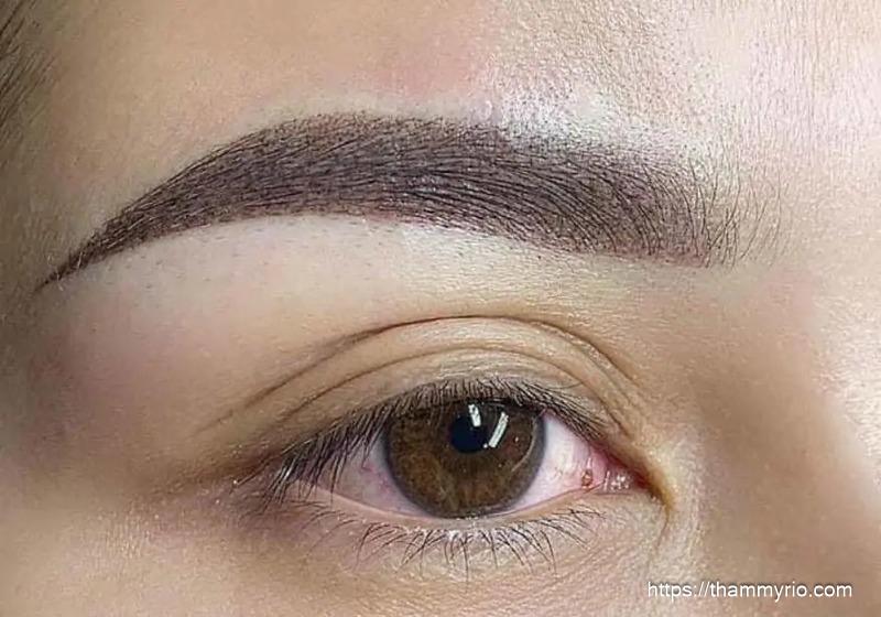 Top những phương pháp phun xăm chân mày mới nhất 2026 5 Phun xam rai hat 8