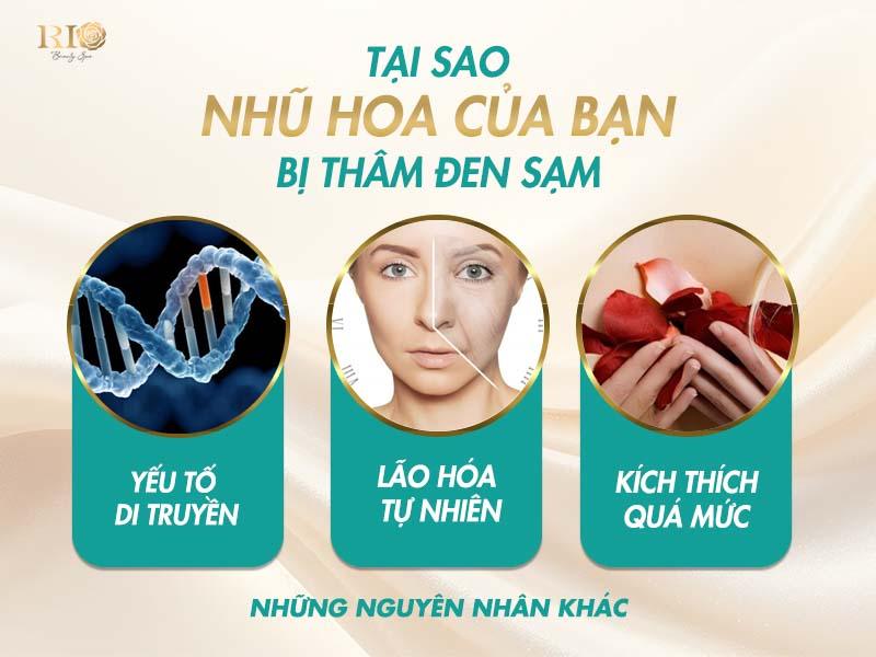 Nhũ hoa bị Thâm - Lý do và cách khắc phục để vòng 1 hồng hào 4 Tại sao nhũ hoa của bạn bị thâm đen sạm? Có rất nhiều yếu tố có thể khiến màu sắc nhũ hoa của bạn thay đổi. Việc hiểu rõ nguyên nhân là bước đầu tiên và quan trọng nhất để tìm ra cách trị thâm vú hiệu quả.