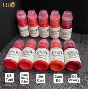 Tại Thẩm mỹ Rio bạn được tiếp cận bảng màu đa dạng cập nhật xu hướng mới Nhờ đó dễ hình dung sắc độ hiệu ứng trên môi