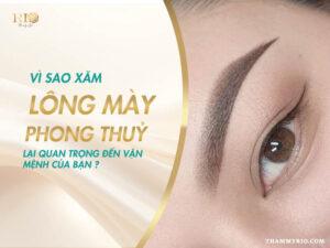 Trong nhân tướng học, lông mày được xem là biểu tượng quan trọng đại diện cho cung điền trạch và một phần của cung quan lộc. Đây là những yếu tố trực tiếp liên quan đến sự nghiệp, tài vận và các mối quan hệ xã hội