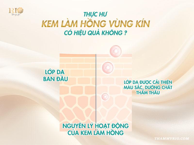Thực hư kem làm hồng vùng kín: 3 điều cần biết 4 Các loại kem làm hồng vùng kín thường chứa thành phần ngăn sự sản sinh enzyme tyrosinase – nguyên nhân thúc đẩy tạo ra melanin gây thâm sạm.