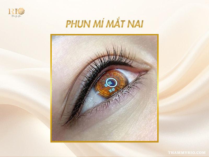 Các kiểu phun mí mắt đẹp mê mẩn, cuốn hút - Hot trend năm 2025 9 Các kiểu phun mí mắt đẹp – phun mí mắt nai trong sáng, dịu dàng