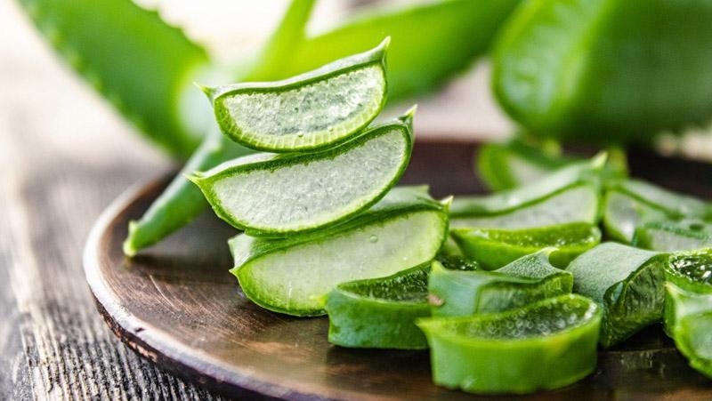 Cách trị thâm bẹn tại nhà có tốt không? Giải pháp thay thế 7 Cách trị thâm bẹn bằng nha đam tươi tại nhà an toàn