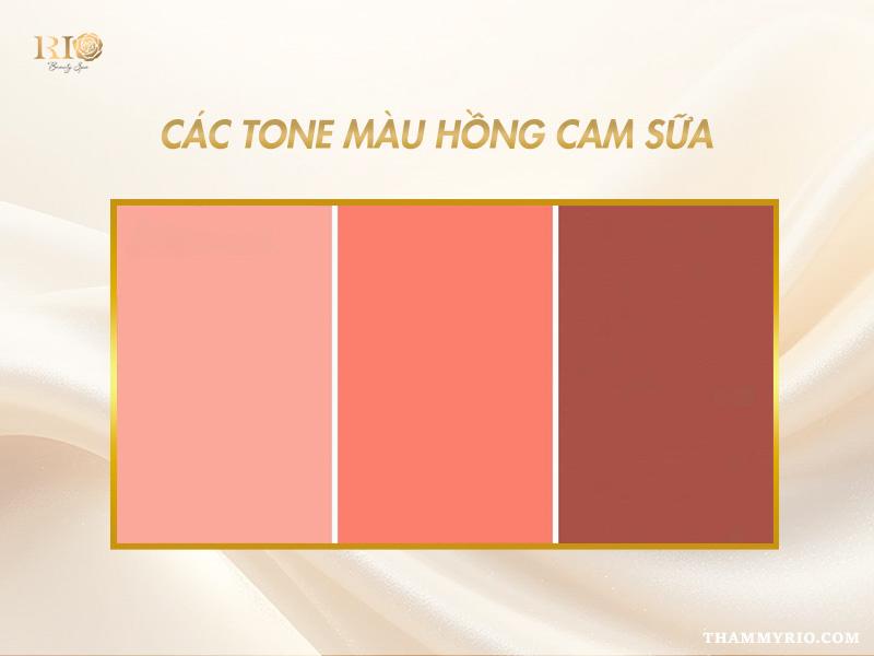 Phun môi màu hồng cam sữa - Sắc môi ngọt ngào trong trẻo 2 Bảng tone phun môi màu hồng cam sữa hiện đại và thời thượng