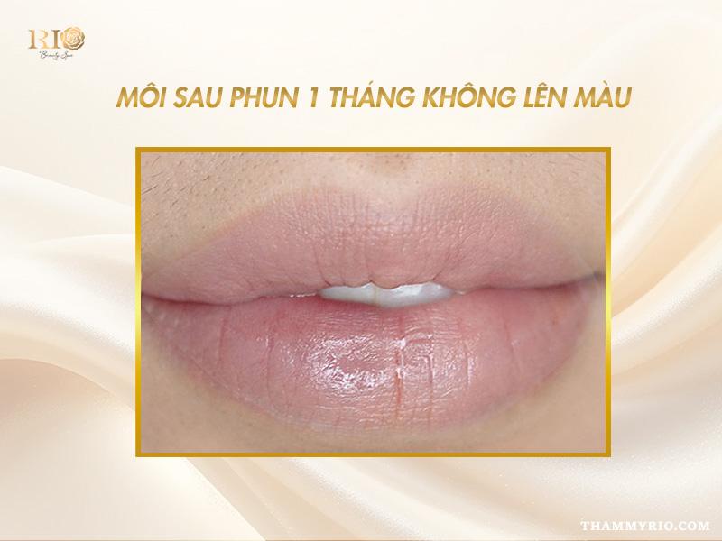 Phun môi sau 1 tháng lên màu chưa? Cách xử lý nếu bị thâm 3 Phun môi sau 1 tháng không lên màu, môi nhạt và thiếu sức sống