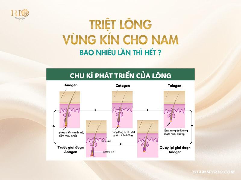 Triệt lông vùng kín nam sạch khỏe, chuẩn nam tính 2025 4 Triệt lông vùng kín cho nam bao nhiêu lần thì hết?