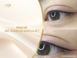 Phun mí mở tròng đá đuôi là gì?