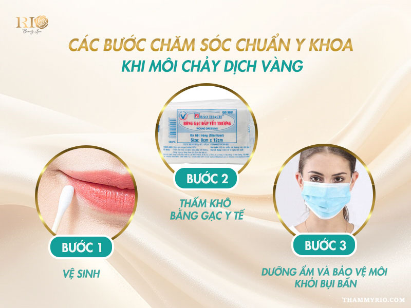 Phun môi bị chảy nước có sao Không? Cách xử lý nước mô sau xăm 5 Các bước chăm sóc chuẩn y khoa khi môi chảy dịch vàng