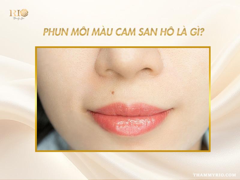 Phun môi màu cam san hô giá bao nhiêu? Đối tượng nên phun 2 Phun môi màu cam san hô giúp làn môi tươi tắn, căng mọng và sáng da tự nhiên.