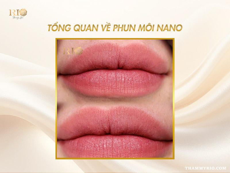 Phun môi nano là gì? Phun môi nano hay collagen tốt hơn 2 Hình ảnh đôi môi căng mọng, đều màu sau khi phun môi nano.