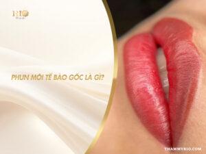 Phun môi tế bào gốc