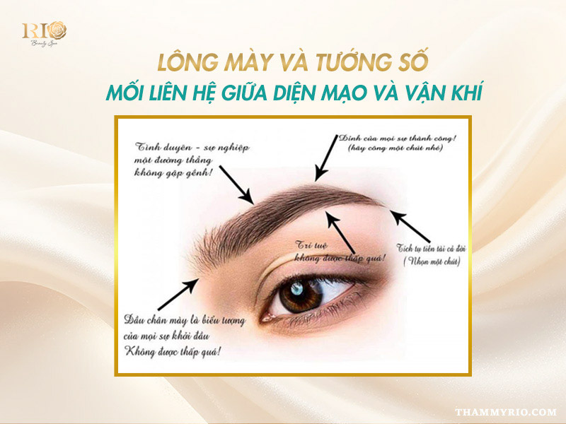 Xăm chân mày có thay đổi vận mệnh không? Góc nhìn phong thủy 2 xăm chân mày có thay đổi vận mệnh không, mối liên hệ giữa lông mày và tướng số