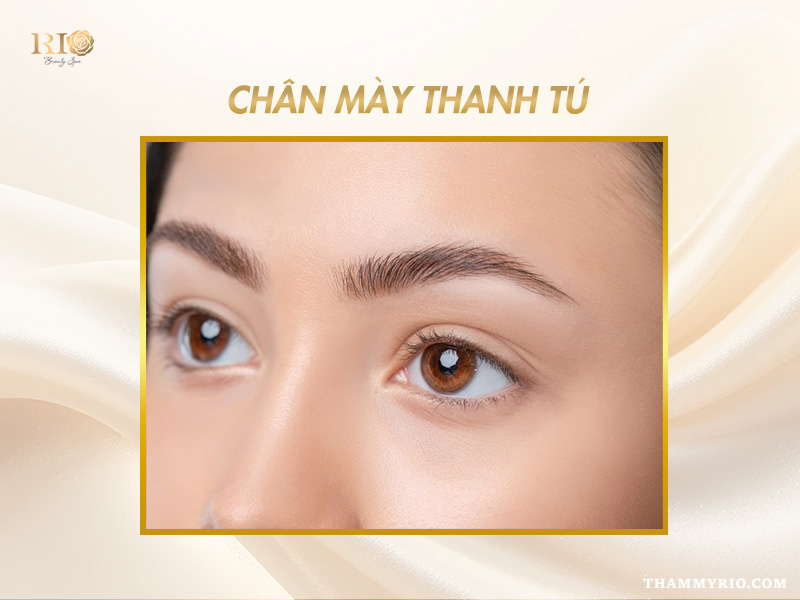 Xăm chân mày có thay đổi vận mệnh không? Góc nhìn phong thủy 6 xăm chân mày có thay đổi vận mệnh không, dáng chân mày thanh tú nhẹ nhàng tự nhiên