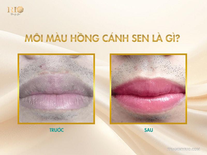 Lý do khiến phun môi màu hồng cánh sen được lòng phái đẹp 2 Môi màu hồng cánh sen là gì?