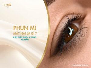 Phun mí mắt nai là gì? 8 sự thật khiến ai cũng mê mẩn