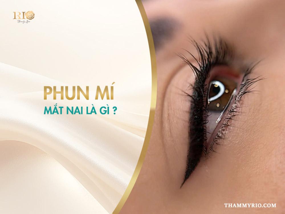 Phun mí mắt nai là gì? 8 sự thật khiến ai cũng mê mẩn 2 Phun mí mắt nai là gì?