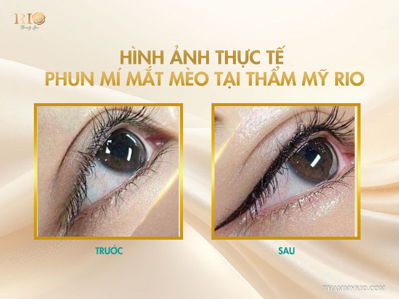 Giải mã độ hot phun mí mắt mèo tạo đường nét vạn người mê 8 Hình ảnh thực tế phun mí mắt mèo tại Thẩm mỹ Rio
