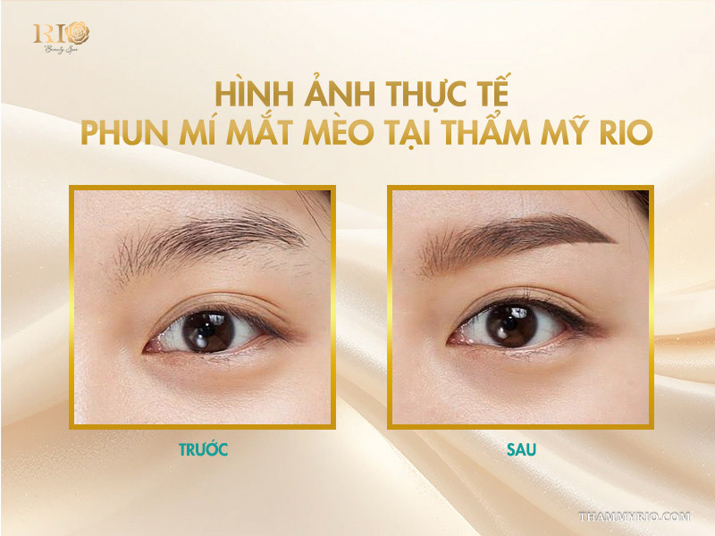 Giải mã độ hot phun mí mắt mèo tạo đường nét vạn người mê 9 Hình ảnh thực tế phun mí mắt mèo tại Thẩm mỹ Rio
