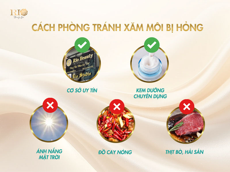 Nguyên tắc nên và không nên sau phun môi để tránh phun môi bị lỗi và xăm môi bị hư.