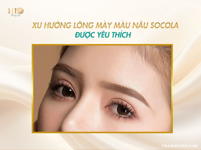 Khám phá lông mày màu nâu socola – Tông màu thời thượng 2026 2 Xu hướng lông mày màu nâu socola được yêu thích nhất hiện nay