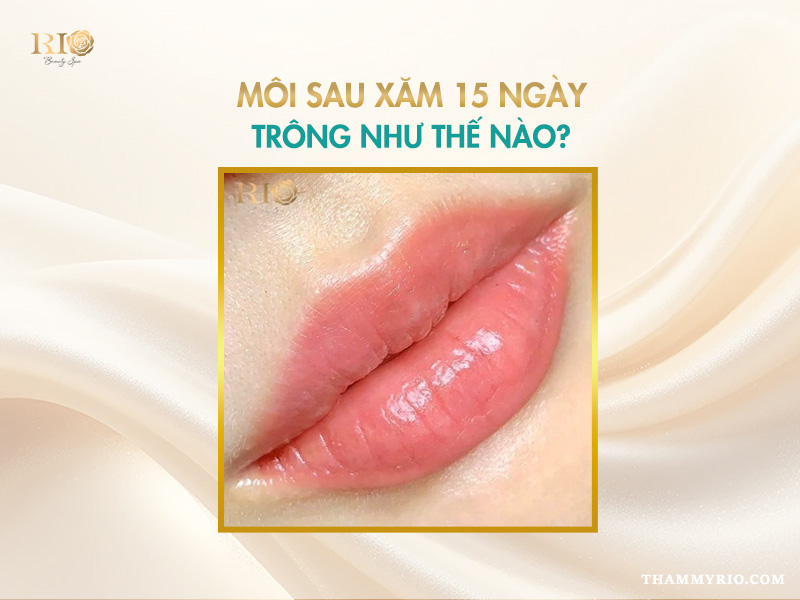 Môi sau xăm 15 ngày đã hồi phục hoàn toàn chưa? 2 môi sau xăm 15 ngày đã ổn định màu chưa