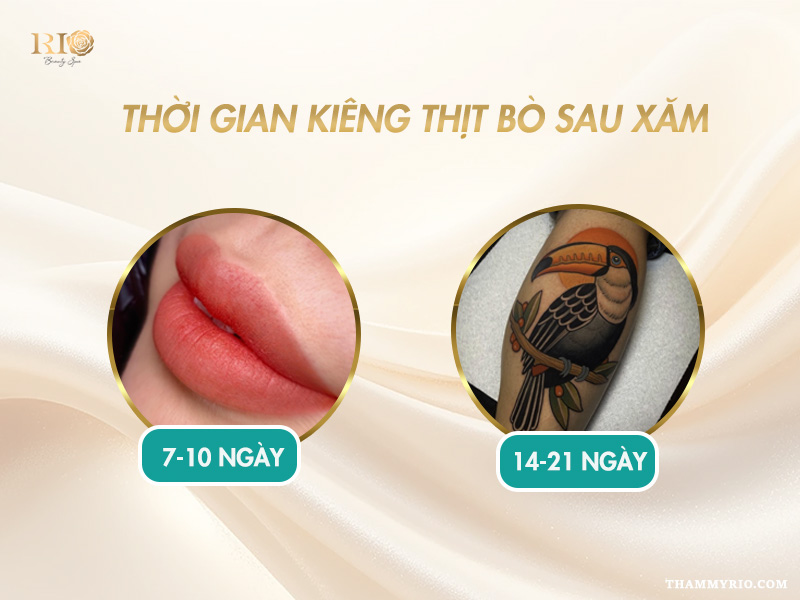 Xăm kiêng ăn gì và xăm ăn thịt bò kiêng bao lâu là hợp lý?