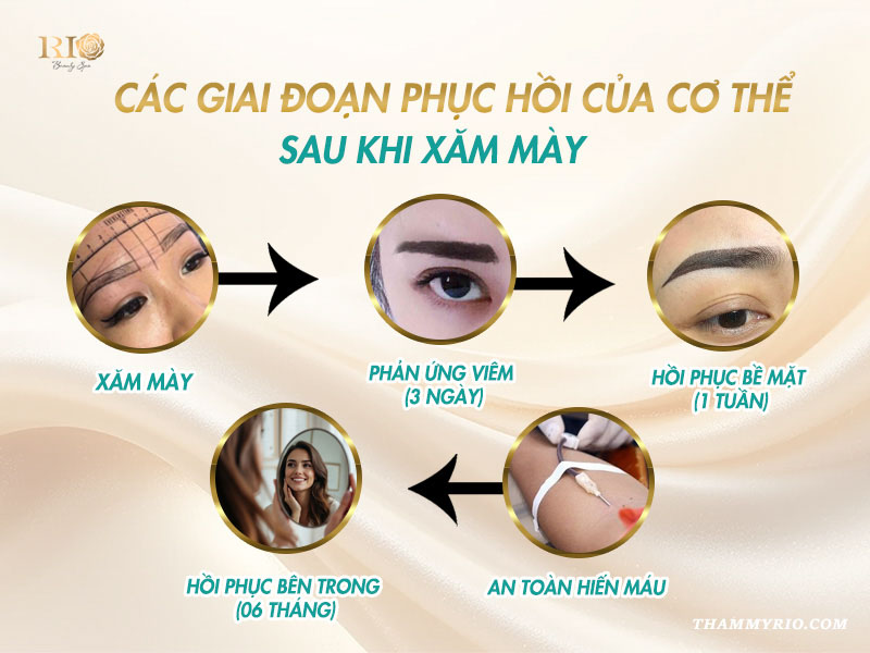 Các giai đoạn ảnh hưởng đến việc xăm chân mày có hiến máu được không
