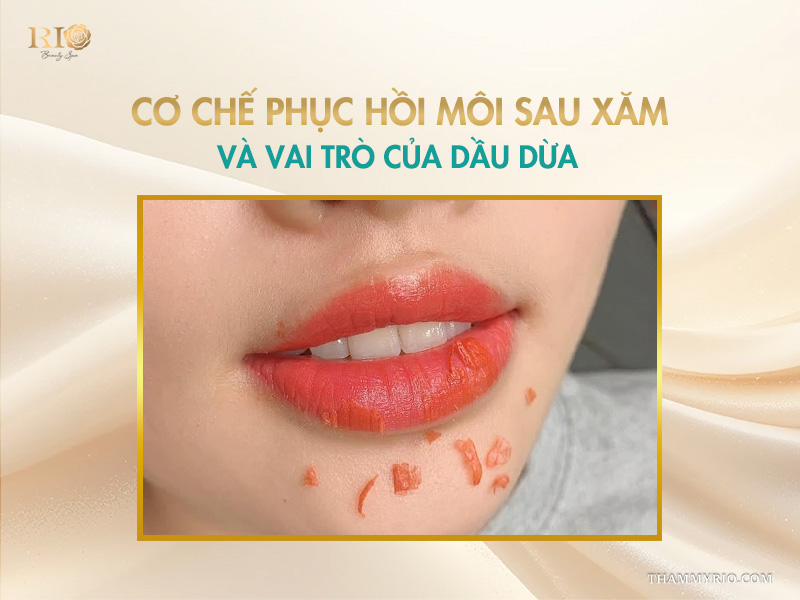 Cơ chế phục hồi môi sau xăm và vai trò của dầu dừa