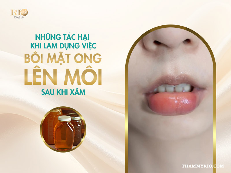 Hướng dẫn 4 bước bôi mật ong lên môi sau khi xăm hiệu quả 5 Những tác hại khi lạm dụng việc bôi mật ong lên môi sau khi xăm