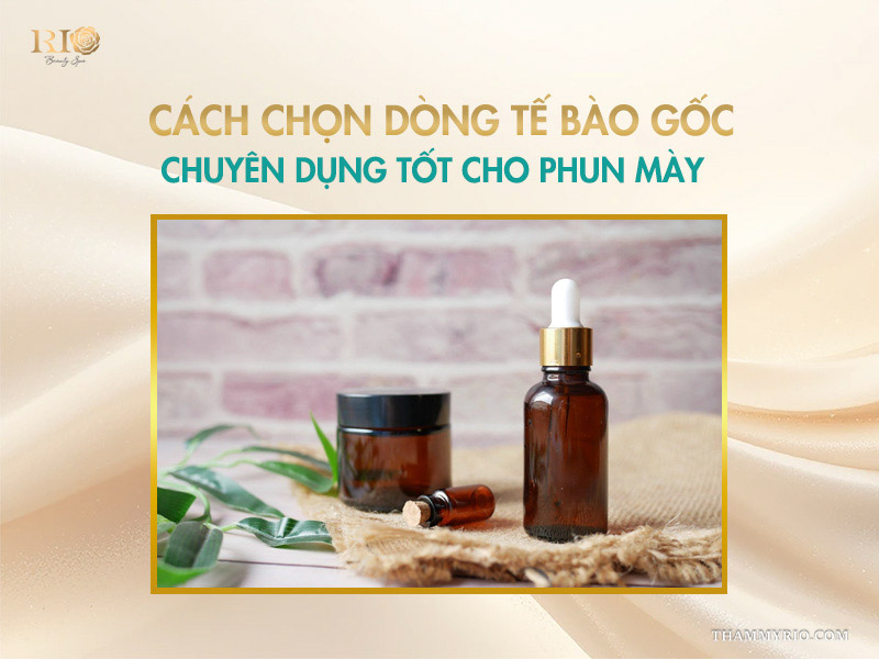 Cách chọn dòng tế bào gốc chuyên dụng tốt cho phun mày
