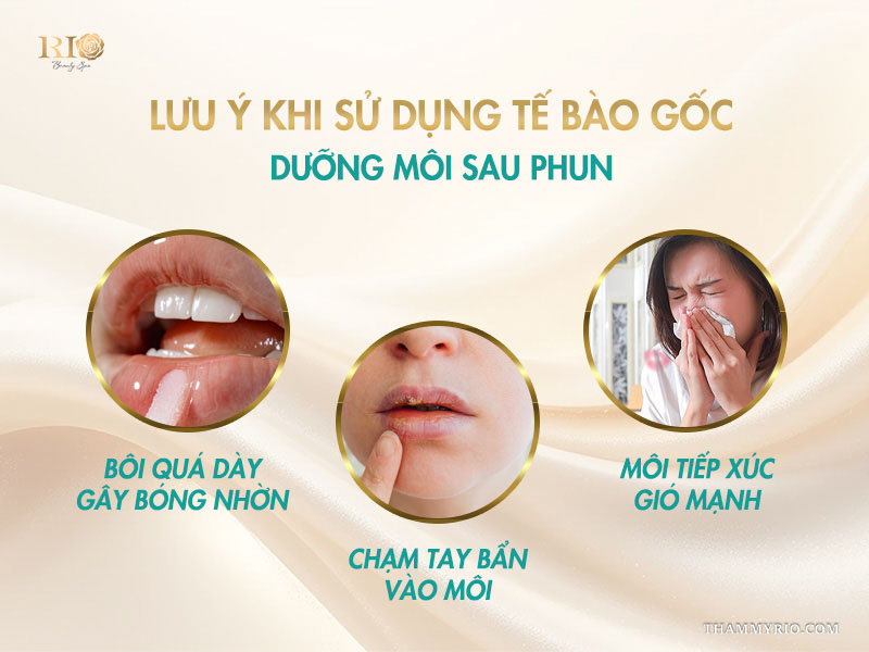  Lưu ý khi sử dụng tế bào gốc dưỡng môi sau phun 