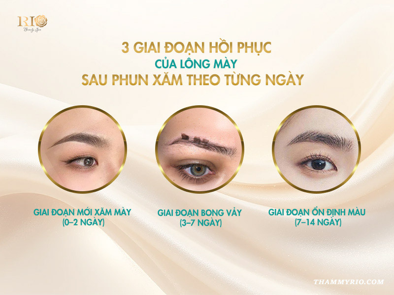 3 giai đoạn hồi phục lông mày sau phun và cách chăm sóc sau phun mày theo từng ngày