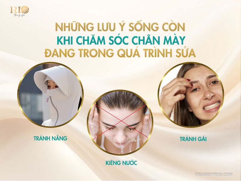  Những lưu ý sống còn khi chăm sóc chân mày đang trong quá trình sửa
