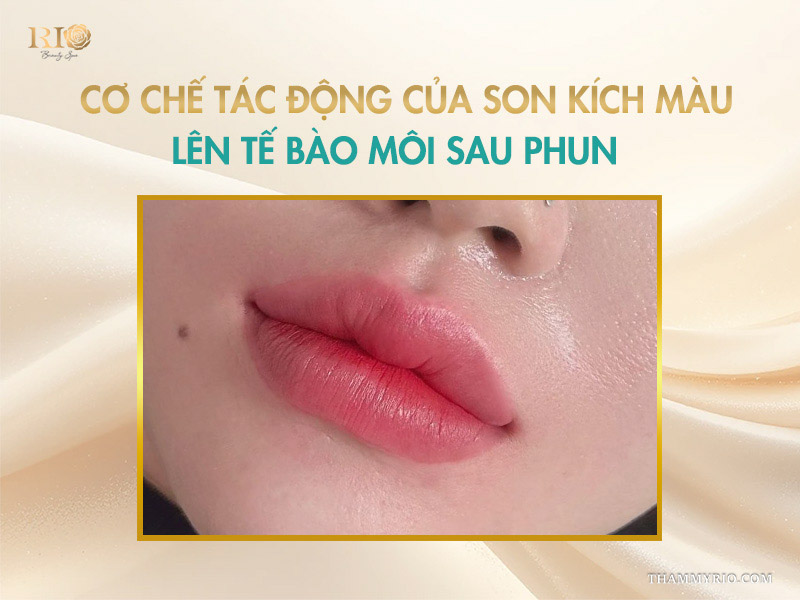 Cơ chế tác động của son kích màu lên tế bào môi sau phun 