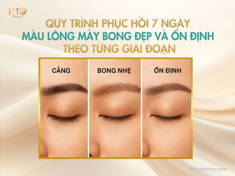 Quy trình phục hồi 7 ngày: màu lông mày bong đẹp và ổn định theo từng giai đoạn