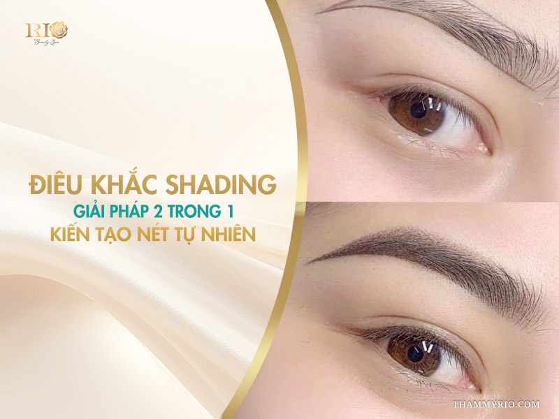 Điêu khắc Shading: Giải pháp 2 trong 1 kiến tạo nét tự nhiên
