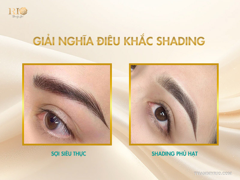 Điêu khắc Shading: Giải pháp 2 trong 1 kiến tạo nét tự nhiên 2 Giải nghĩa điêu khắc Shading