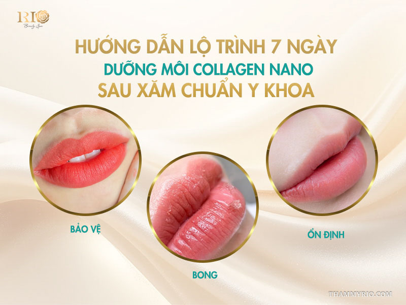 Hướng dẫn lộ trình 7 ngày dưỡng môi collagen nano sau xăm chuẩn y khoa