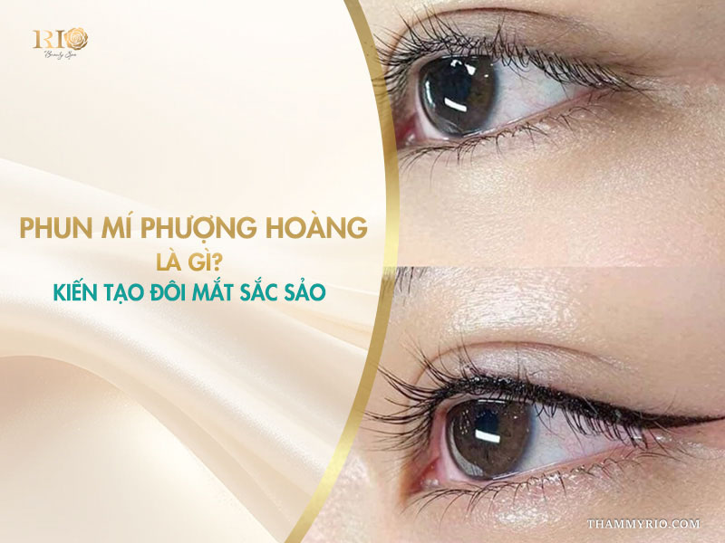 Phun mí phượng hoàng là gì? Kiến tạo đôi mắt sắc sảo