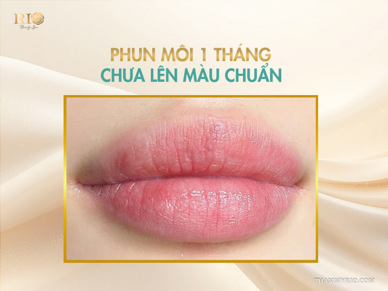 Phun môi 1 tháng dặm lại được chưa? Dặm lại môi có đau không? 5 Phun môi 1 tháng chưa lên màu chuẩn