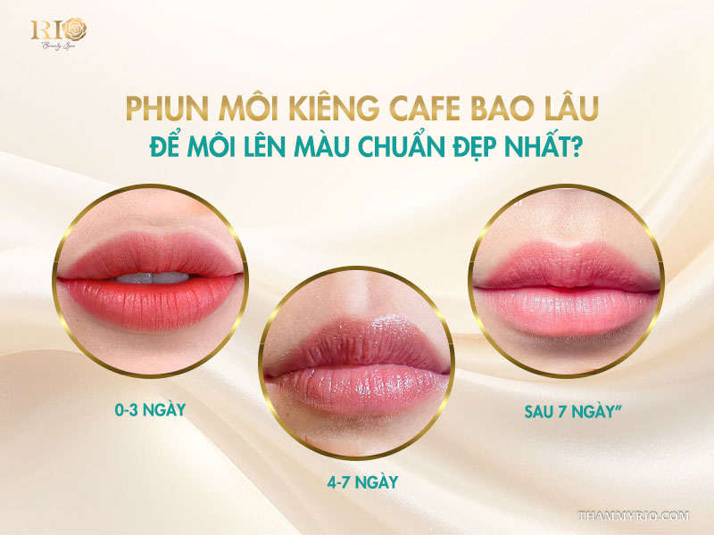Phun môi kiêng cafe bao lâu? Vì sao nên kiêng? 3 Phun môi kiêng cafe bao lâu để môi lên màu chuẩn đẹp nhất?