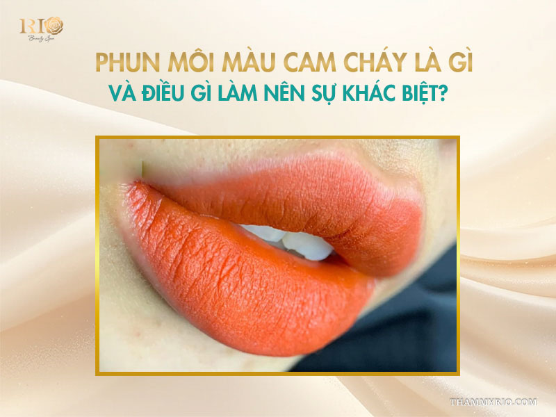 Phun môi màu cam cháy - 4 sắc thái cam đang “gây sốt” 2 Phun môi màu cam cháy là gì và điều gì làm nên sự khác biệt?