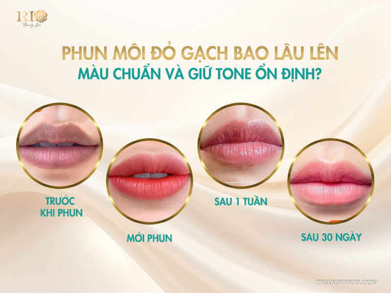 Phun môi đỏ gạch bao lâu lên màu chuẩn và giữ tone ổn định?