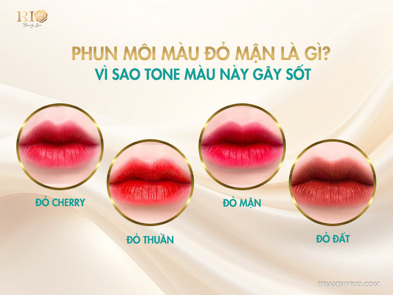 Phun môi màu đỏ mận: tone màu trẻ trung, sáng bật tone da 2 Phun môi màu đỏ mận là gì? Vì sao tone màu này gây sốt?