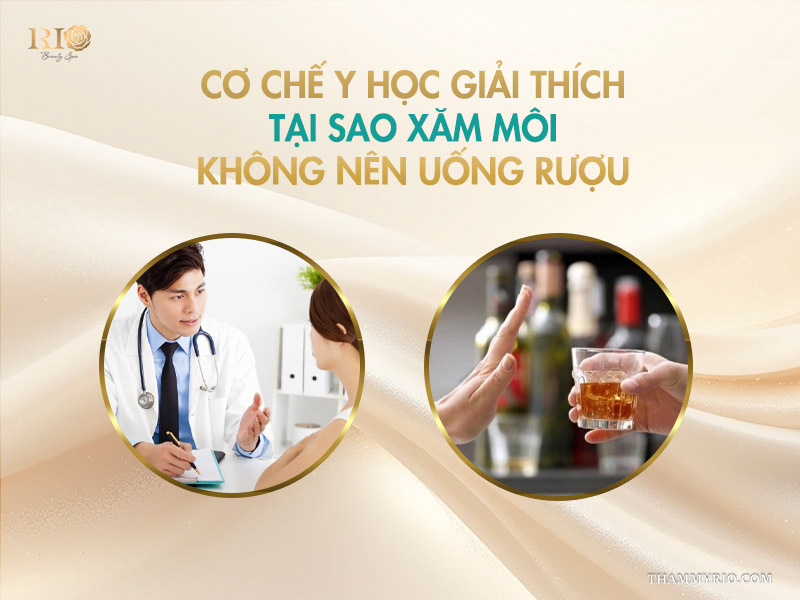 Cơ chế y học giải thích tại sao xăm môi không nên uống rượu 