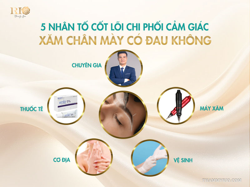 Xăm chân mày có đau không? 5 nhân tố chính quyết định độ đau 3 5 nhân tố cốt lõi chi phối cảm giác xăm chân mày có đau không