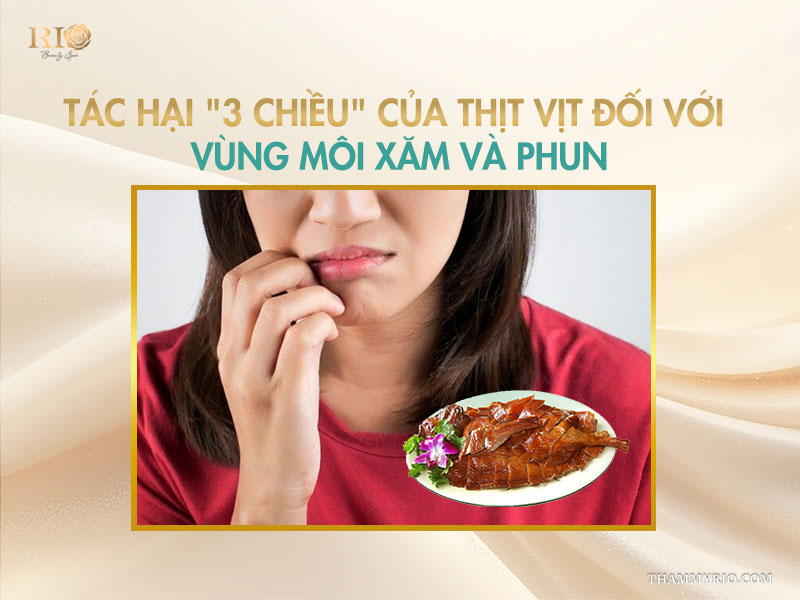 Xăm môi có kiêng thịt vịt không? 3 bước xử lý khi lỡ ăn 3 Tác hại "3 chiều" của thịt vịt đối với vùng môi xăm và phun