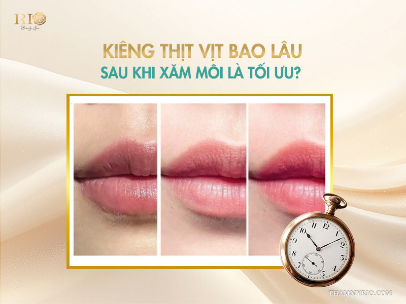 Xăm môi có kiêng thịt vịt không? 3 bước xử lý khi lỡ ăn 4 Kiêng thịt vịt bao lâu sau khi xăm môi là tối ưu?